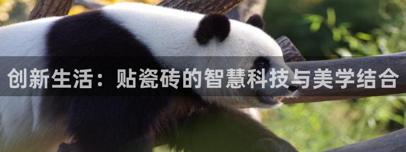 和记娱安全h88285官网