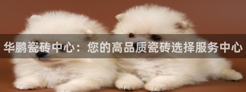 和记官网亚洲唯一官网