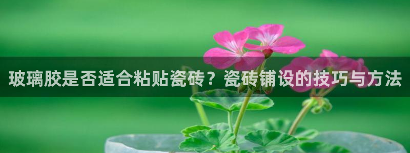 和记娱安全h88285官网