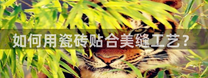 广州和记黄埔官网