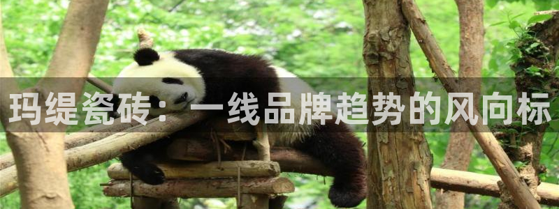 和记电讯app官网