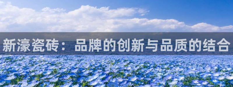 和记怡情视频在线官网