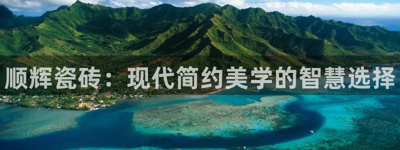 和记3电讯 官网