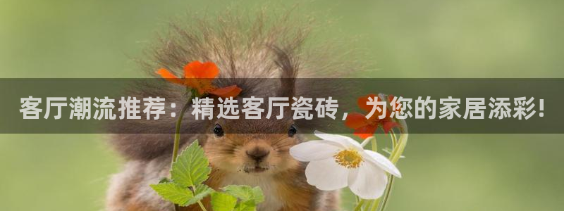 和记娱真心推荐h88285官网