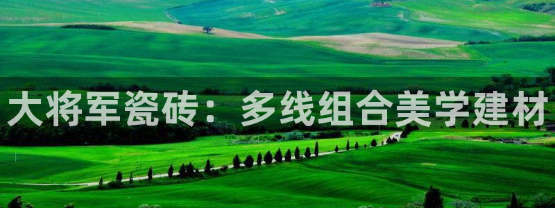 和记餐厅官网