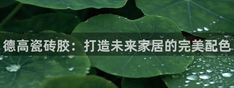 和记娱答疑h88285官网