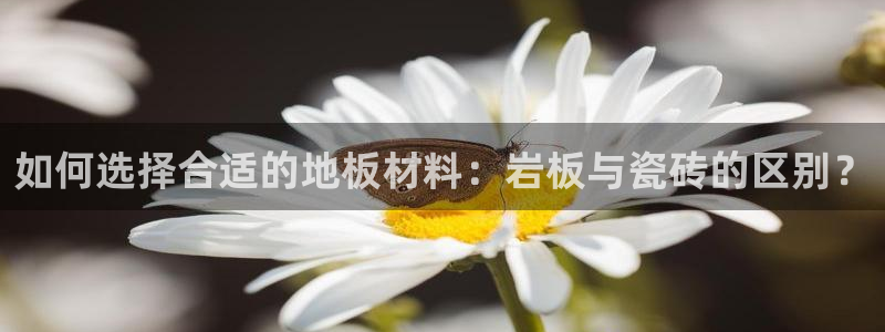 和记电讯香港官网